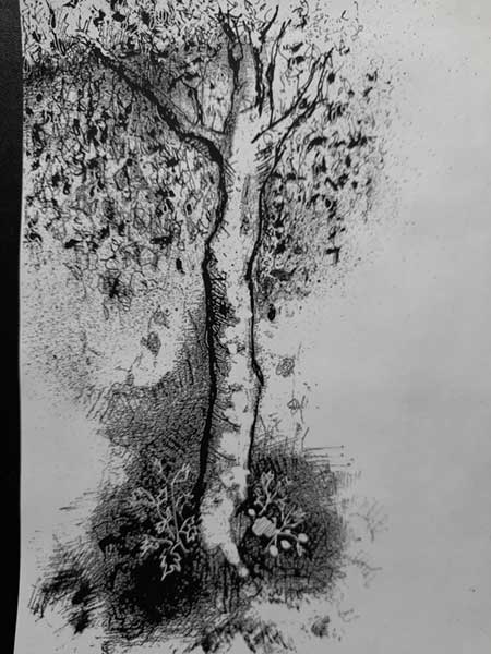 Silver Birch painting - Beingandthis.com
